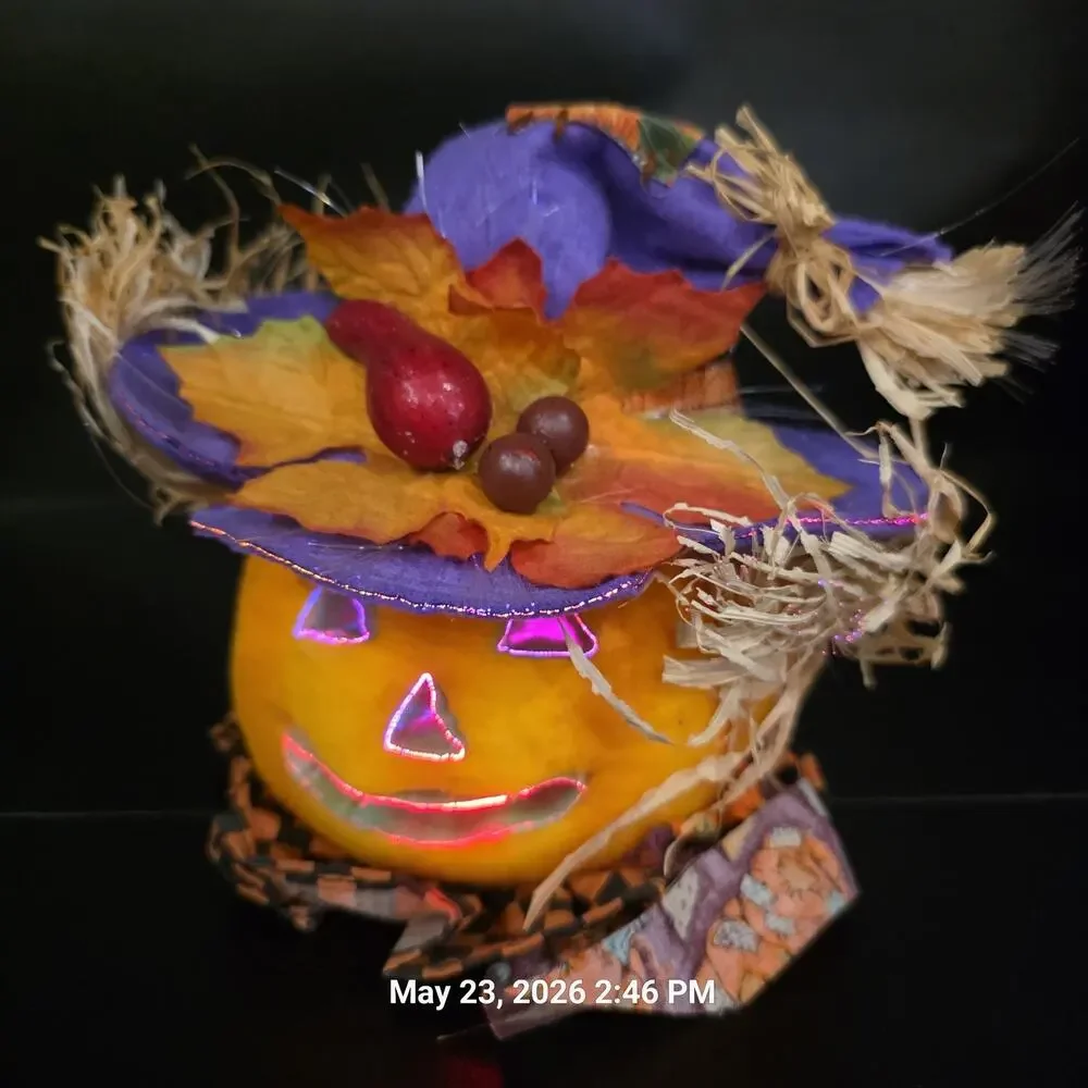3pc Fiber Optic Halloween Pumpkin Black Cat 8